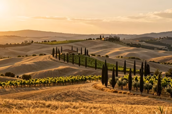 Itinéraire Toscane : Guide Complet pour 7 à 10 Jours