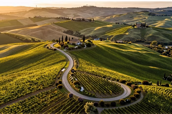 Itinéraires dans le Chianti : Circuits, Randonnées & Road Trips 2026