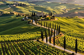 Route des Vins du Chianti Classico : Guide Complet Oenotourisme 2026